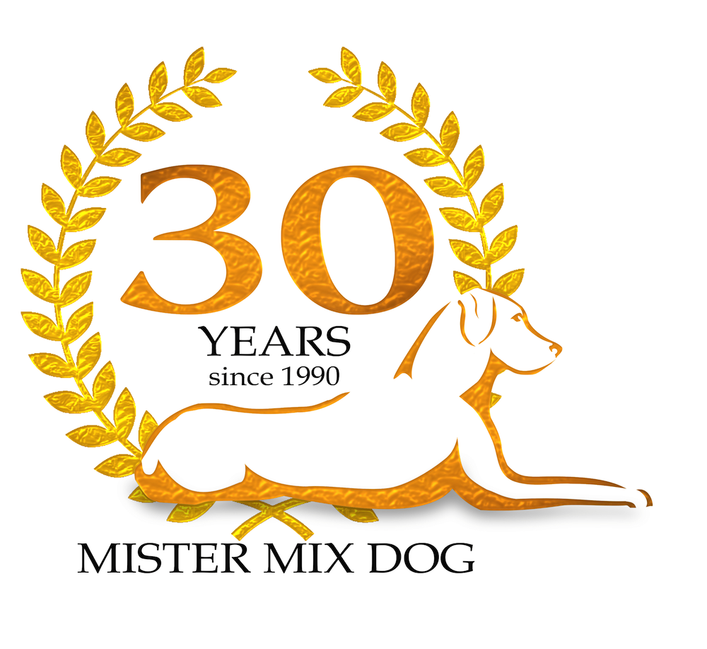 _mister-mix_dog 30 years-1